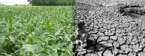 agroindustria-suelo-pobre